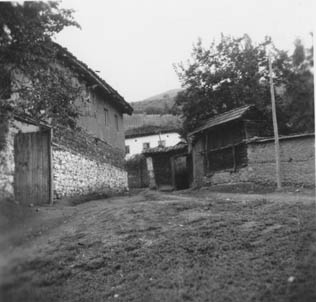 eika image